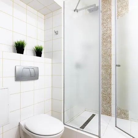 Lion King Krakivska *