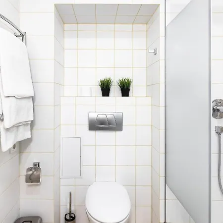 Lion King Krakivska Lviv