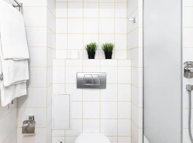 Lion King Krakivska Lviv