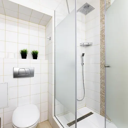 Lion King Krakivska Lemberg