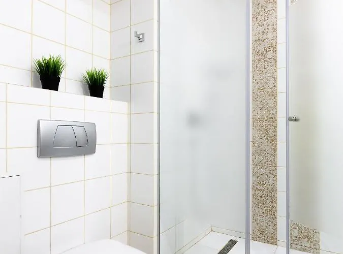 Lion King Krakivska *