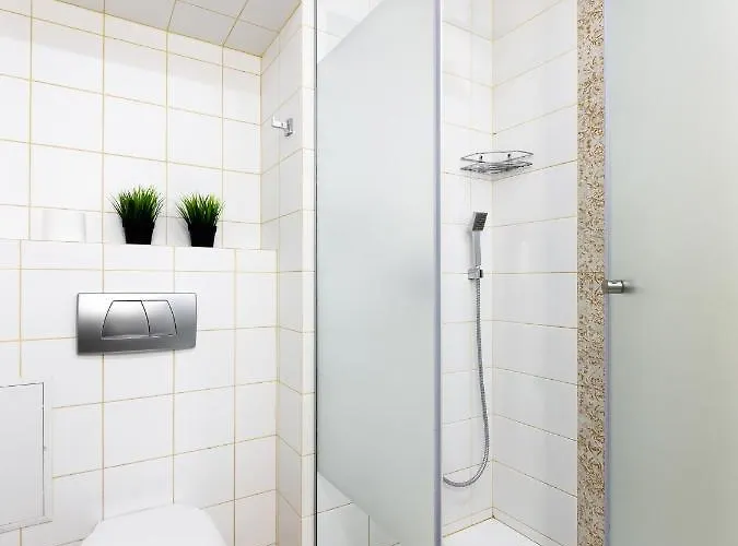 Lion King Krakivska Lviv